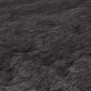 Meet your Posher, Coley